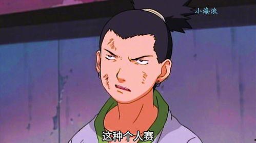 鹿丸小豪爆料视频大全,揭秘娱乐圈幕后真相 第2张 鹿丸小豪爆料视频大全,揭秘娱乐圈幕后真相 第2张