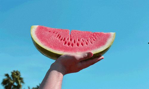 天鹅西瓜在线观看,在线观看,探寻奇幻世界的奇幻之旅 第2张 天鹅西瓜在线观看,在线观看,探寻奇幻世界的奇幻之旅 第2张